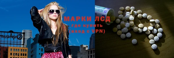 стаф Каменногорск