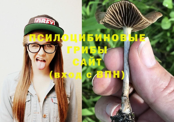 соль курить ск Каменка