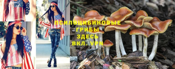 мяу мяу кристалл Каменск-Шахтинский