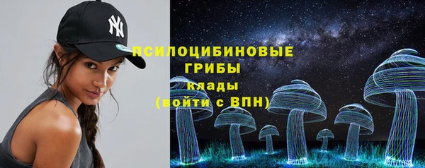стаф Каменногорск