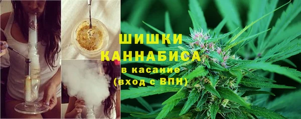 соль курить ск Каменка