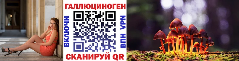 Галлюциногенные грибы Cubensis  Купить закладки  Данилов 